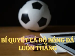 Tìm Hiểu Cá Cược Bóng Đá FB88 Với Góc Nhìn Chuyên Gia
