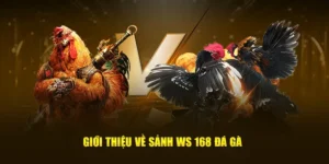 Cách Chơi Đá Gà WS168 Tại FB88 Đầy Hấp Dẫn Và Sôi Động